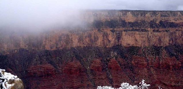 Grand Canyon - und Williams (Arizona)